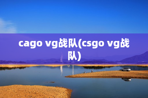 cago vg战队(csgo vg战队)