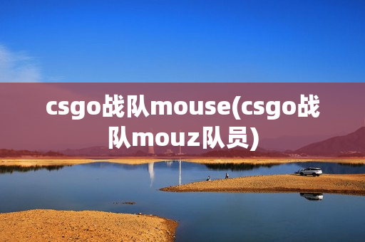 csgo战队mouse(csgo战队mouz队员)